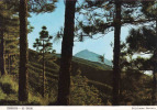 Espana, Islas Canarias, Tenerife, Vista Del Teide Al Atardecer ,   Circulante Si 1974 - Other & Unclassified