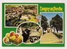 ###CP, 61, Longny Au Perche, Château, Bourg, Place Centrale, Halles, Chapelle ND De La Pitié, écrite - Longny Au Perche