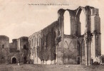 Maillezais : Les Ruines De L'abbaye - Maillezais