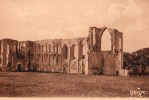 Maillezais : Ruines De L'ancienne Cathédrale - Maillezais