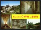 DF / 79 DEUX-SEVRES / CELLES SUR BELLE / VUE GENERALE / ABBAYE / FONTAINE / EGLISE / LAVOIR - Celles-sur-Belle