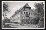 GASTHAUS UND PENSION ZUM GRÜNEN BAUM BES. KARL MÜLLER OEDSBACH Bei OBERKIRCH RENCHTAL SCHWARZWALD - Oberkirch