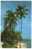 BARBADOS-MARTIN´S BAY, ST. JOHN / THEMATIC STAMP-CRAB / MARINE LIFE - Barbados