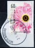 Australia 2011 Floral Festivals 60c Everlasting Self-adhesive Used - SOUTH MORANG VIC 3752 - Used Stamps