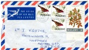 Malawi- Cover Posted From Namwera [canc. LIMBE 8.11.1971, Arr.13.11.1971] To Ilioupolis-Athens Greece (cover With Tears) - Malawi (1964-...)