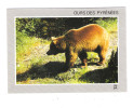 OURS Des Pyrénées - Osos