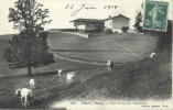 69 - THIZY - CPA - Une Ferme Aux Chavannes - Circulée 1914 - Thizy