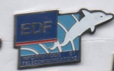 EDF , Informatique Et Télécommunications , Dauphin - EDF GDF
