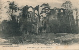 DAMMARIE LES LYS - Ruines De L'Abbaye - Dammarie Les Lys