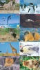 LOT De 200 Cartes Japon - ANIMAUX - ANIMALS Japan Prepaid Cards - TIERE Karten ( LOT 286) - Sammlungen