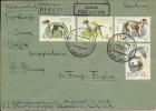 Airmail , DOGS, 1965., SSSR, Letter - Lettres & Documents