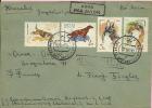 Airmail , DOGS, 1965., SSSR, Letter - Cartas & Documentos