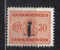 ENG21b - R.S.I. , Segnatasse Il 30 Cent Fascetto *  Linguellato - Postage Due