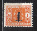 ENG21c - R.S.I. , Segnatasse La Lira Fascetto ***  Integra - Postage Due