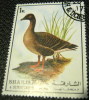 Sharjah Goose 1rl - Used - Schardscha