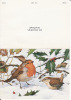 Oiseaux, Les Rouges - Gorges De David Wright ( 11, 6  X 16 Cm ) - Lions