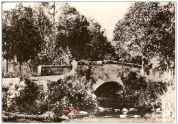 SAUTOUR-PONT DE PIERRE - Philippeville