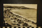 CP, 06 , Cannes La Promenade Des Anglais - Cannes