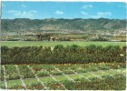 A Bird's Eye View Of Islamabad, The New Capital Of Pakistan, Unused Postcard [10690] - Pakistan