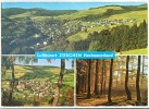 Germany, Luftkurort ZUSCHEN Hochsauerland, Used Postcard [10695] - Winterberg