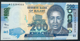 MALAWI      P60       200    KWACHA    2012  #AC    UNC. - Malawi