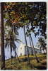 Nouvelle Calédonie--BALADE--Cote Est: église Historique De Balade,cpsm Gd Ft  éd Melanesia - Nouvelle-Calédonie