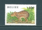 Belize: 913 ** - Roedores