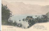 F F S 950 / C P A   -SUISSE - LAC  DE BRIENZ - Brienz