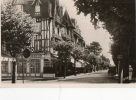 CABOURG (14) Avenue De La Mer Et Hotel De Paris - Cabourg