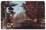 USA Maine -AUTUMN ROAD SCENE - SCENIC VIEW ~ C1960s Vintage Postcard~ ME   [c2507] - Other & Unclassified