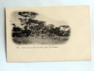 Carte Postale Ancienne :  Point D´eau De GRALE , Près GUILDESSA - Ethiopie