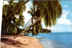 (600) Barbados - Barbade - West Coast Beach - Barbades