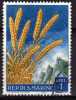 PIA -  SAN  MARINO  - 1958 : Frutta E Prodotti Agricoli -  (SAS  480-89) - Used Stamps