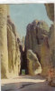 Needles Highway - Other & Unclassified