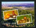 Moldawien - Markenheftchen CEPT 2005 ** / MNH - 2005