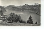 Bürgenstock Honegg Blick Auf Vierwaldstättersee 1962 - Autres & Non Classés