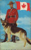 Canada -Postcard- Royal Canadian Mounted Policeman With Dog-unused - Police - Gendarmerie