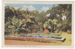 PGL AT015 - JAMAICA HOPE GARDENS 1940's - Jamaica