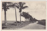 PGL AT019 - ST KITTS COUNTRY ROAD 1940's - Saint Kitts And Nevis