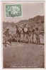 PGL AT029 - ADEN GROUP OF ARABIAN CAMELS 1940's - Yemen