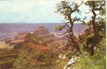 From Cape Royal - Grand Canyon