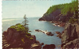 Cliffs At West Quoddy Head - Other & Unclassified