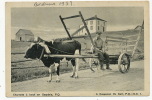 Charrette A Boeuf En Gaspesie PQ Ox Cart P. Used  Canada 1937 - Gaspé