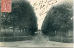 CPA 94 BONNEUIL AVENUE DES TILLEUILS ET CHATEAU 1906 - Bonneuil Sur Marne