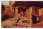 Spruce Tree Ruin - Mesa Verde