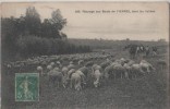 EPINAY SOUS SENART (.paturage Au Bord De L' Yerres Dans Les Vallees ) - Epinay Sous Senart