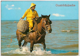 OOSTDUINKERKE-KOKSIJDE-PECHEUR DE CREVETTES A CHEVAL-GARNAALVISSER TE PAARD-crevette-garnaal - Oostduinkerke