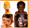 CPM CANARD SINGE ENFANT  BEBE Vicky Ceelen 16 Par 16 Double Avec Enveloppe - Singes