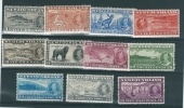 Newfoundland 1937 SG 257-67 Coronation Set, Mounted Mint - Nuevos