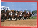 (500) Hippisme - Course De Chevaux - Horseracing - Kentucky Derby - Reitsport